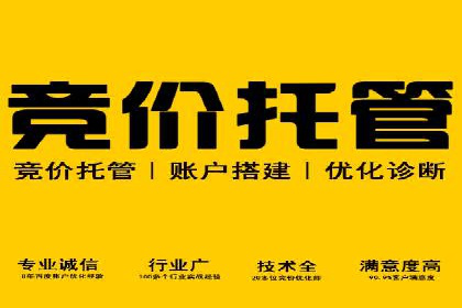 托管SEM竞价策略调整：提升品牌曝光度